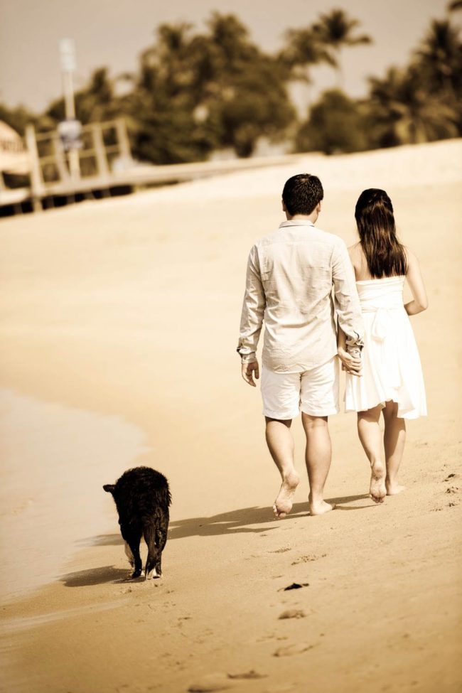 Bridal Photography Singapore bride and groom holding hands and walking along the beach with pet dog