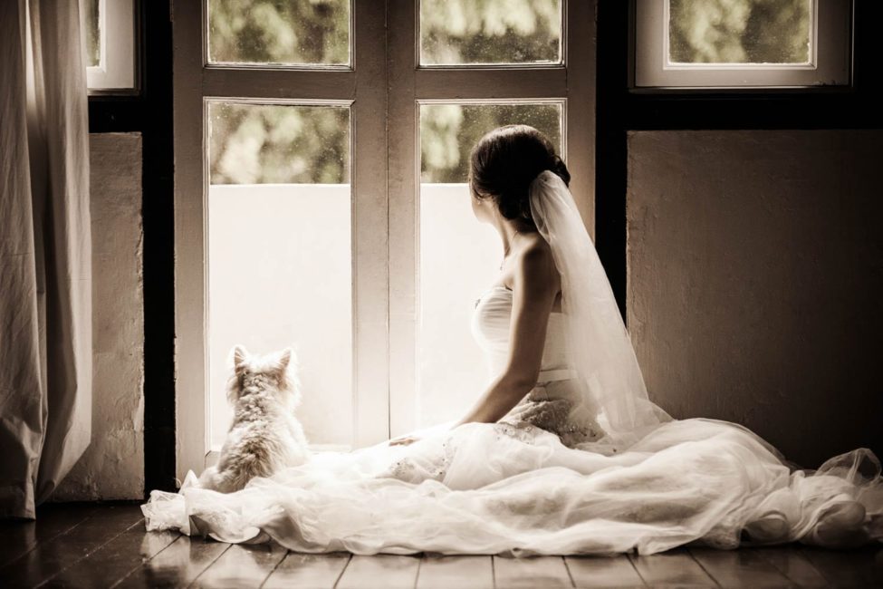 Bridal Photography Singapore bride in wedding dress sitting down with pet dog indoor photoshoot sepia tone portrait