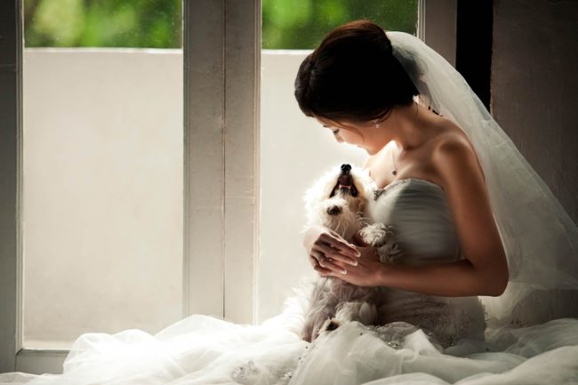 Bridal Photoshoot Singapore bride sitting down and carrying pet dog indoor photography