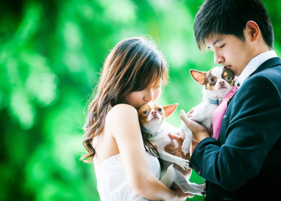 Bridal Photoshoot Singapore couple holding pet chihuahua dogs posing together with nature landscape background