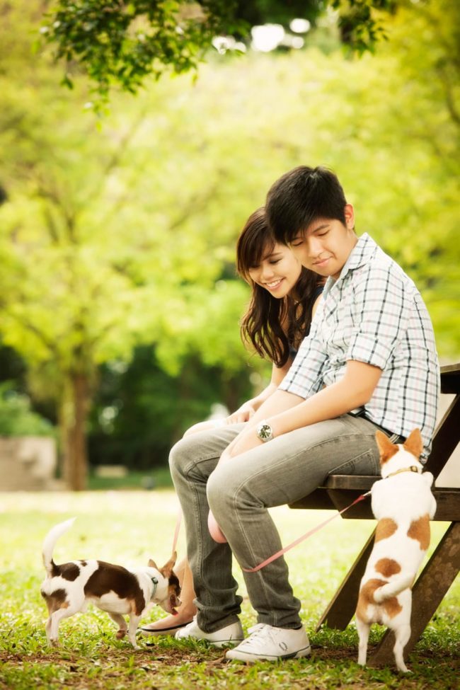 Couple Photoshoot Singapore smiling man and woman couple sitting on park bench with 2 chihuahuas outdoor photography