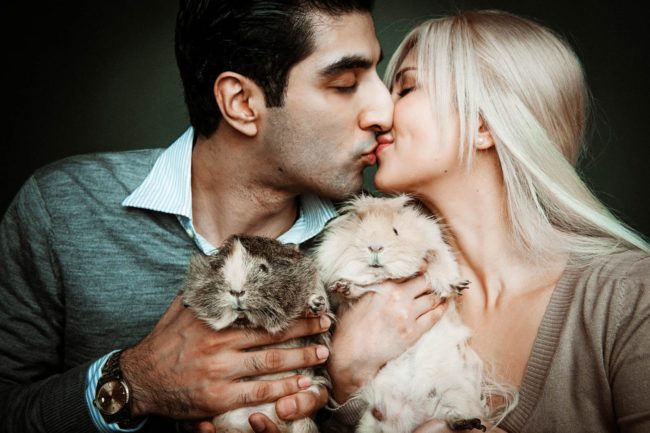Pet Photography Singapore pet owners kissing each other while holding 2 guinea pigs portrait