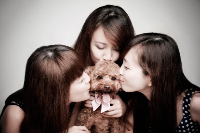 Pet Portrait Photography Singapore 3 women kissing a brown miniature poodle with tongue hanging out