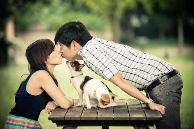 Pet Portrait Photography Singapore male and female couple kissing at a park table with cat in the middle