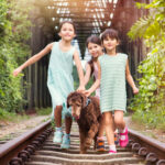 kids photography session photographed at White Room Studio, 219 River Valley Road, Singapore. Natural light family portrait 2026