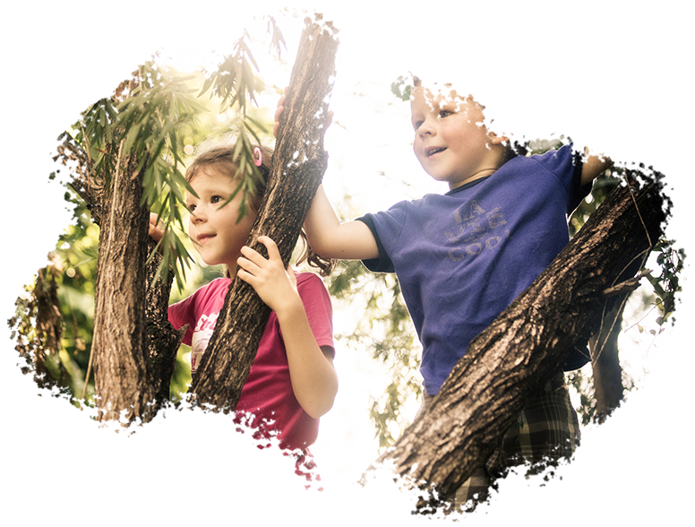 Family kids photography of 2 young children outdoors between tree branches