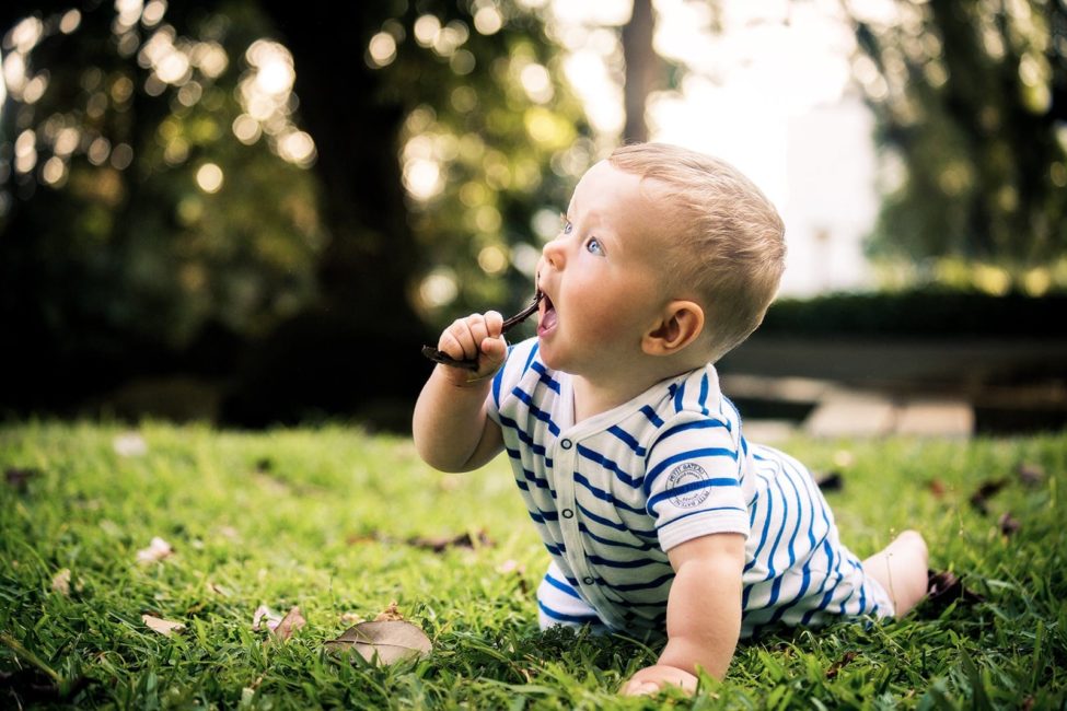 Kids Singapore Natural Photoshoot Outdoor young toddler crawling and biting twig at a park