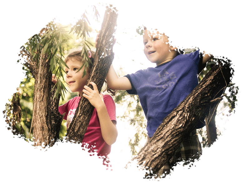 Family kids photography of 2 young children outdoors between tree branches