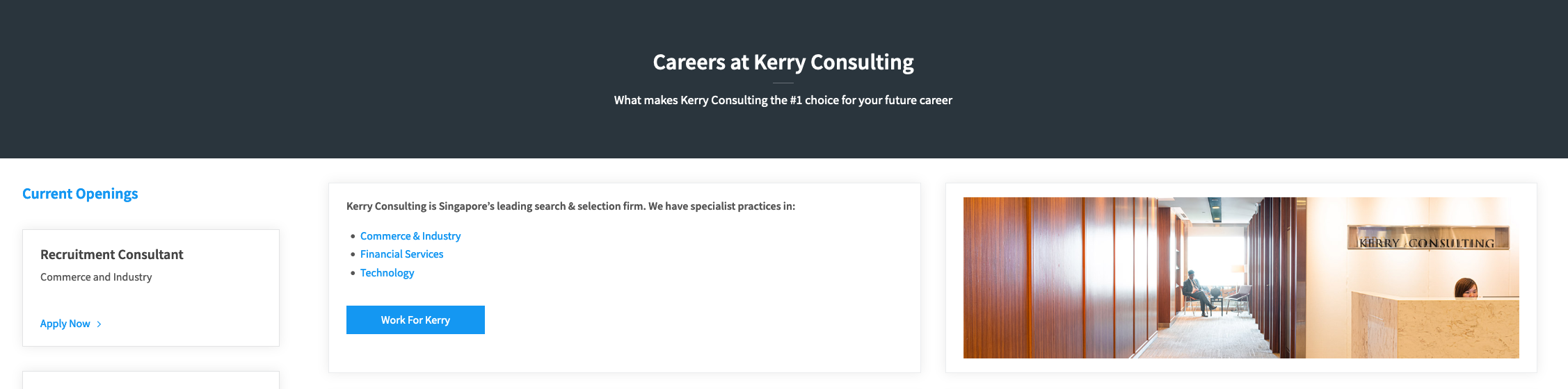 Screenshot of Kerry Consulting's website