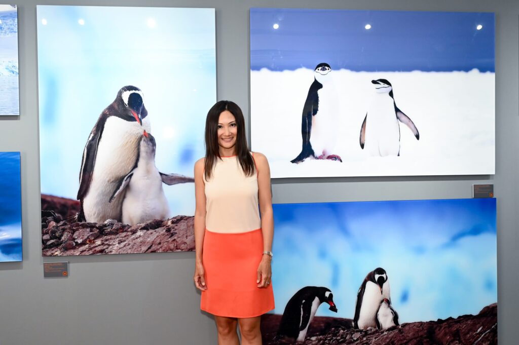 Founder of White Room Studio Elaine Lim poses. with her portraits of penguins taken in Antarctica Credit: White Room Studio