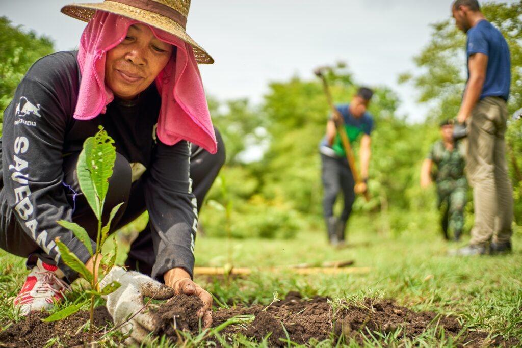 Onetreeplanted_White Room Studio Singapore_Partnership sustainability