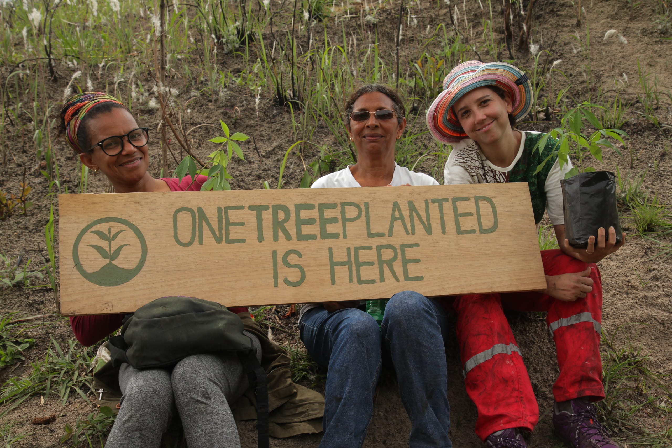 White Room Studio Partnership with One Tree Planted Corporate Social Responsibility-2 White Room Studio Partnership with One Tree Planted Corporate Social Responsibility-2