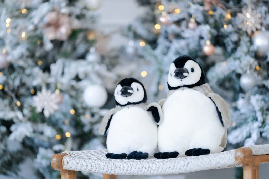 Christmas Family Photoshoot - Christmas Photoshoot at White Room Studio Singapore with penguins