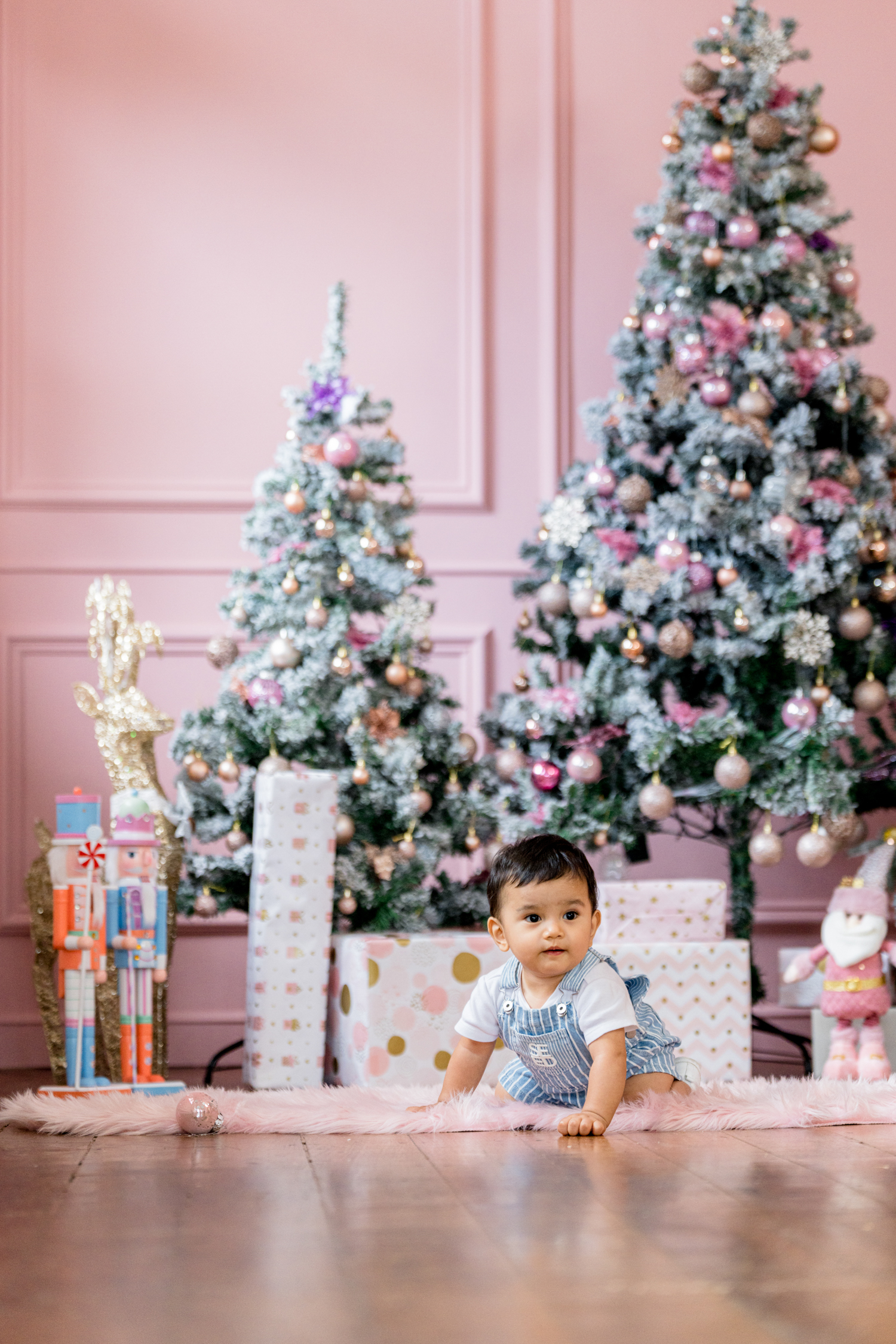 Blush Noel Christmas photoshoot set at White Room Studio