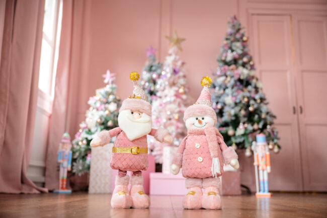 Professional Christmas Family Photoshoot in Photography Studio, Singapore