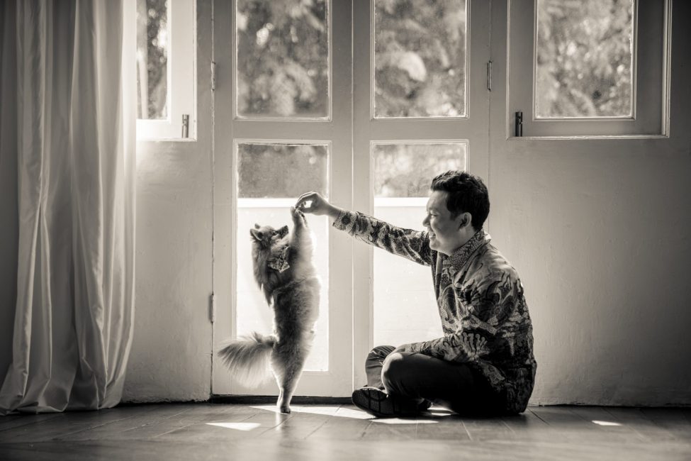 Pet Portrait Photography Singapore in natural light photo studio at White Room Studio, 219 River Valley Road Singapore