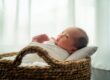 Family and Newborn Home Photoshoot Photographed By White Room Studio