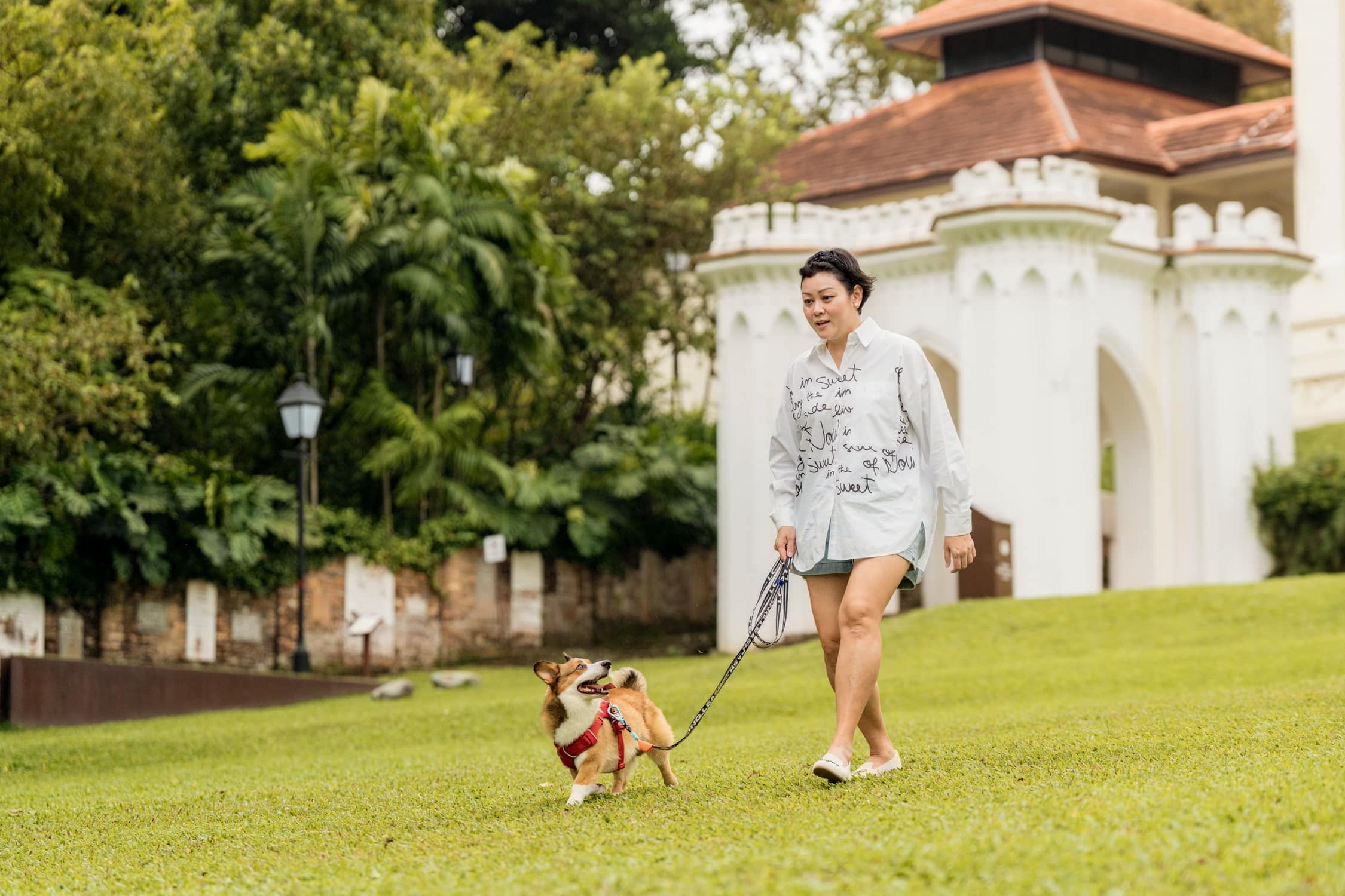 Pet-Photoshoot-Singapore-Photography-Studio_##34