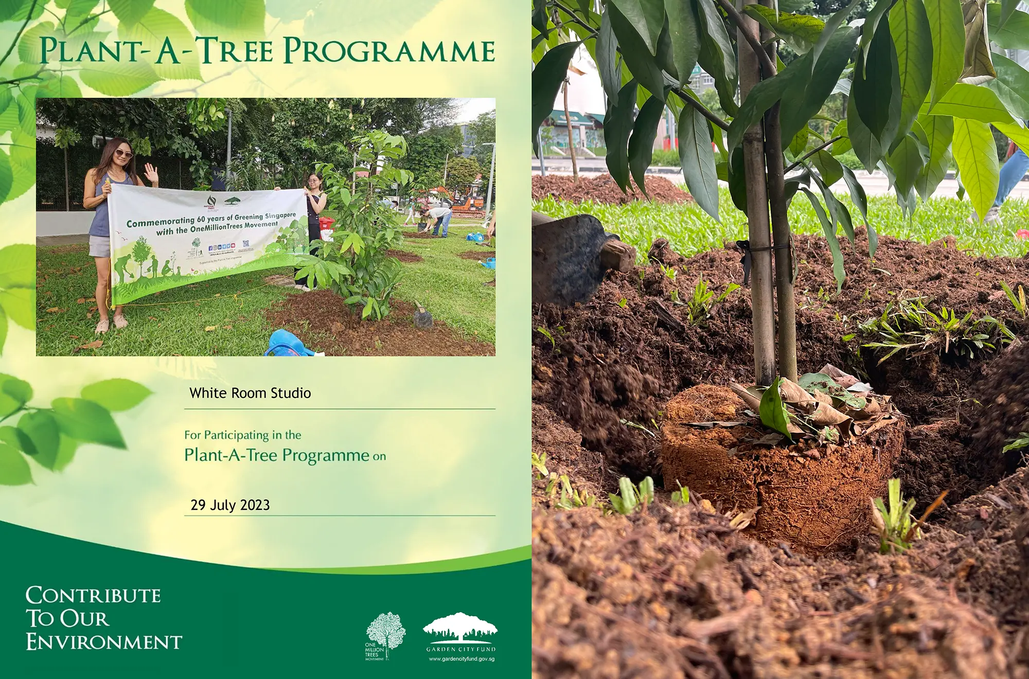 Plant-A-Tree-Sustainability_CSR_White Room Studio copy