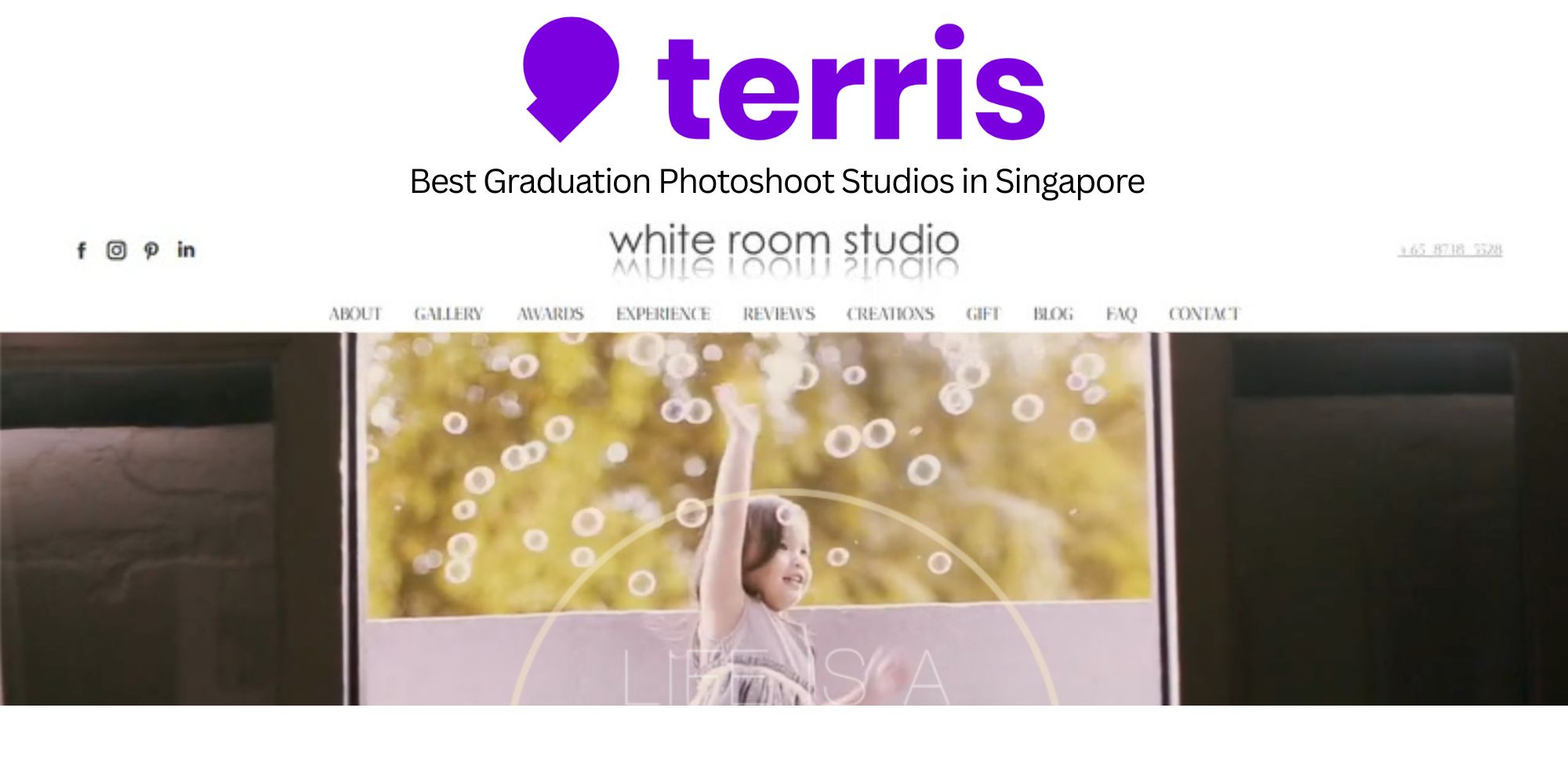 Terris Feature of White Room Studio Terris Recommendations